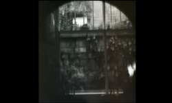 donis_test1